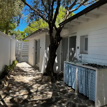 Palmasera Charming 4*