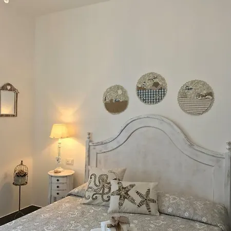 Palmasera Charming - &