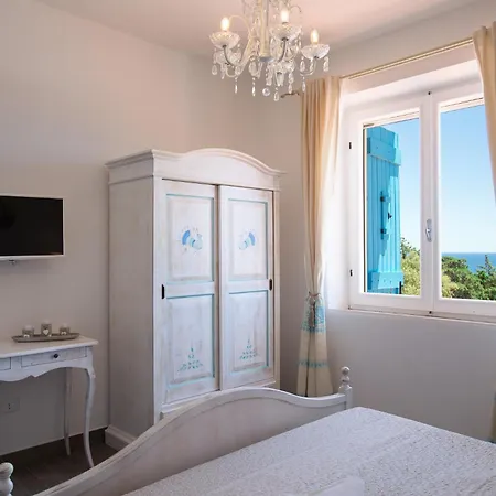 Palmasera Charming - &