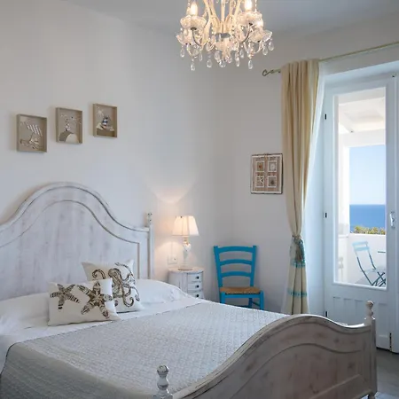 Palmasera Charming - &