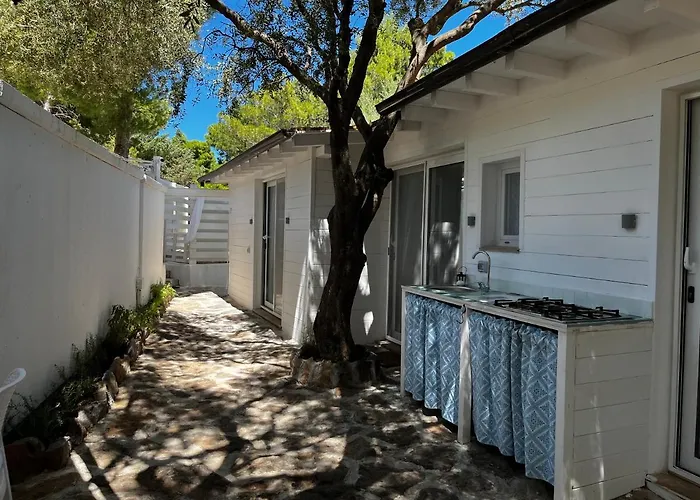 Palmasera Charming - & 4*