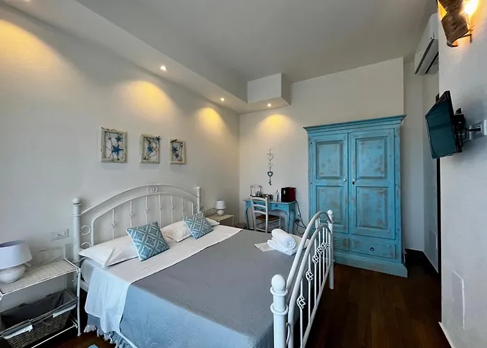 Palmasera Charming - &