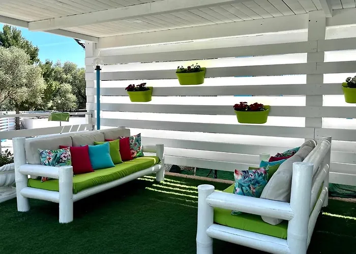 Palmasera Charming - &