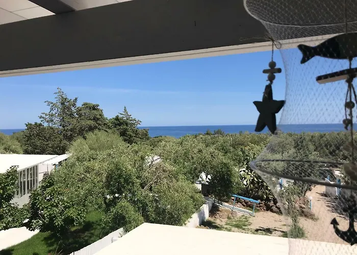 Palmasera Charming - &