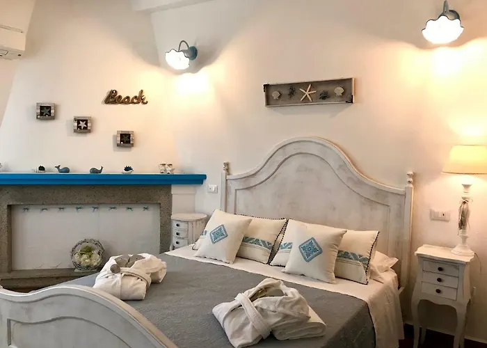 Palmasera Charming - &